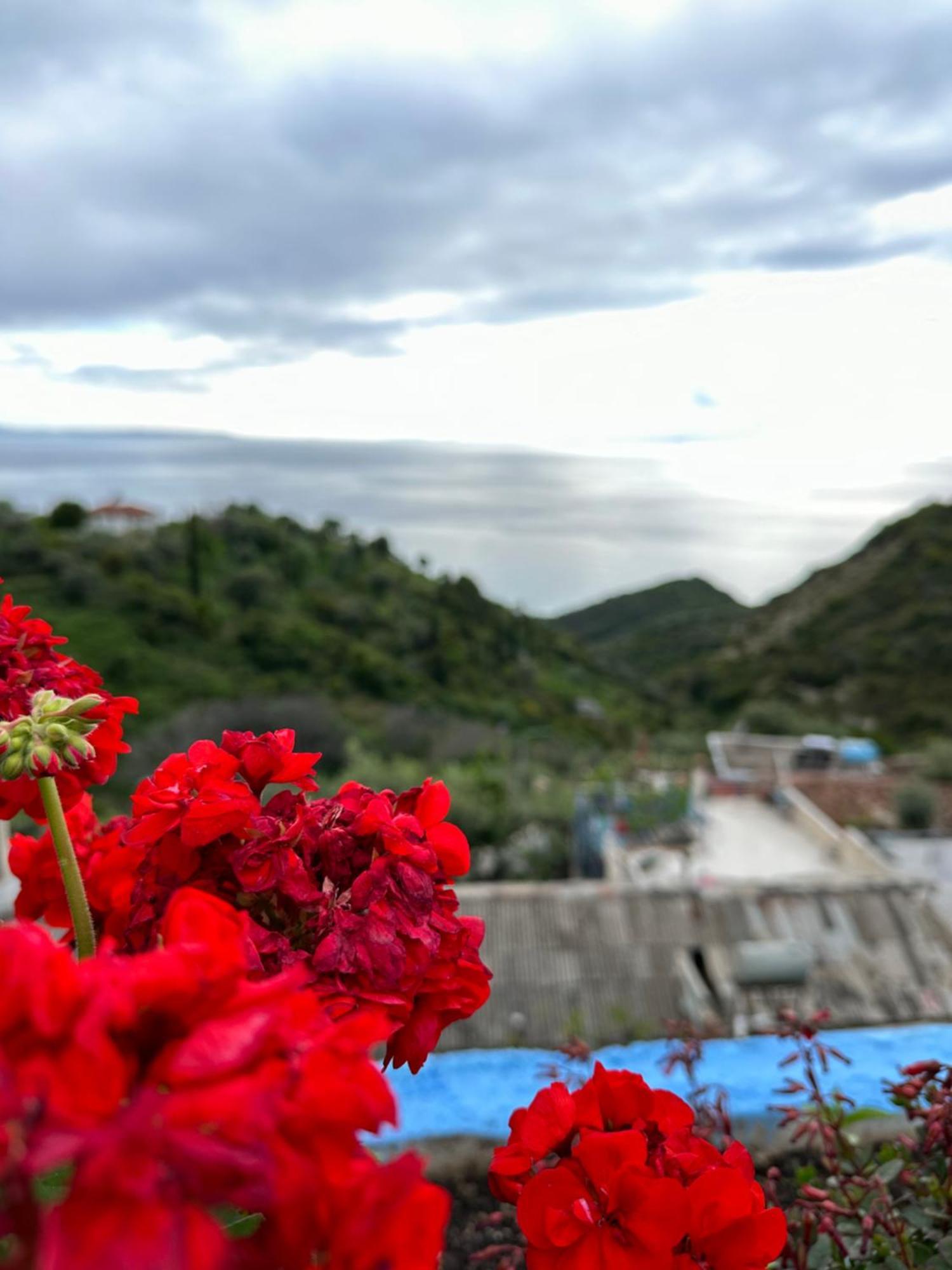 Selami Sea View Lukovë
