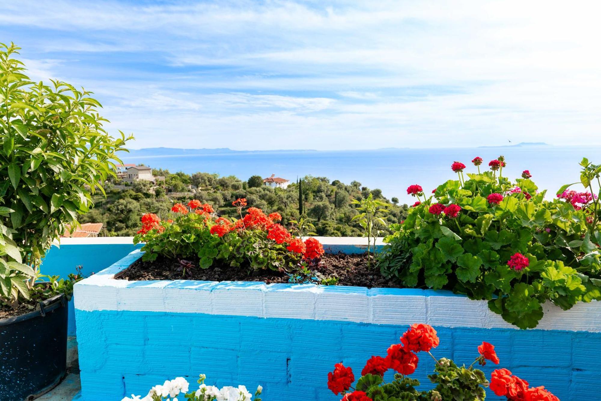 Apartment Selami Sea View